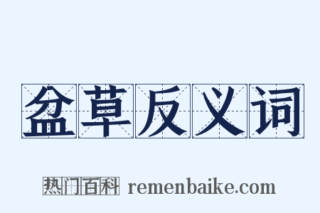 盆草反义词是什么意思的图片